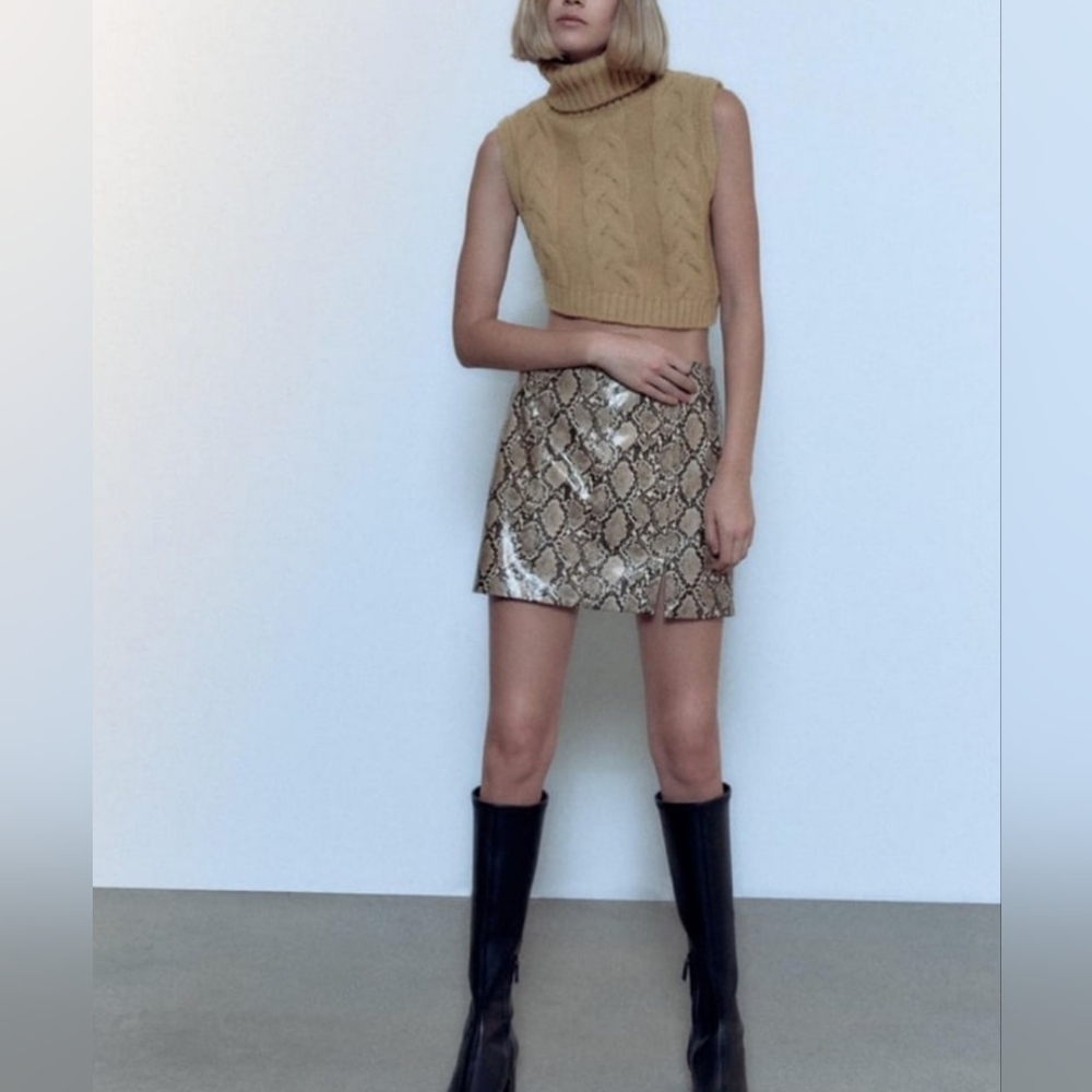 Zara Snake Skin Mini Skirt